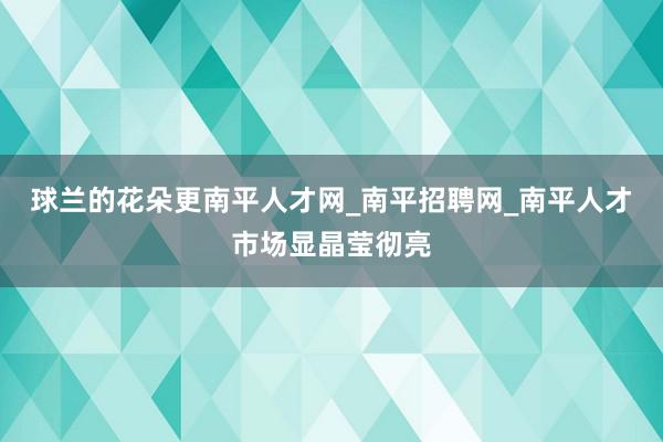 球兰的花朵更南平人才网_南平招聘网_南平人才市场显晶莹彻亮