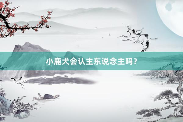 小鹿犬会认主东说念主吗？