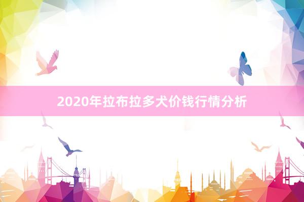 2020年拉布拉多犬价钱行情分析